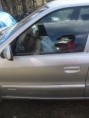 xsara dvere LP