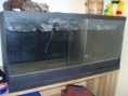 /album/fotogaleria-terarium/pb270012-jpg1/