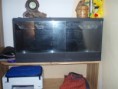 /album/fotogaleria-terarium/pb270013-jpg/