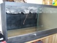 /album/fotogaleria-terarium/pb270014-jpg/