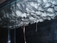/album/fotogaleria-terarium/pb270017-jpg/